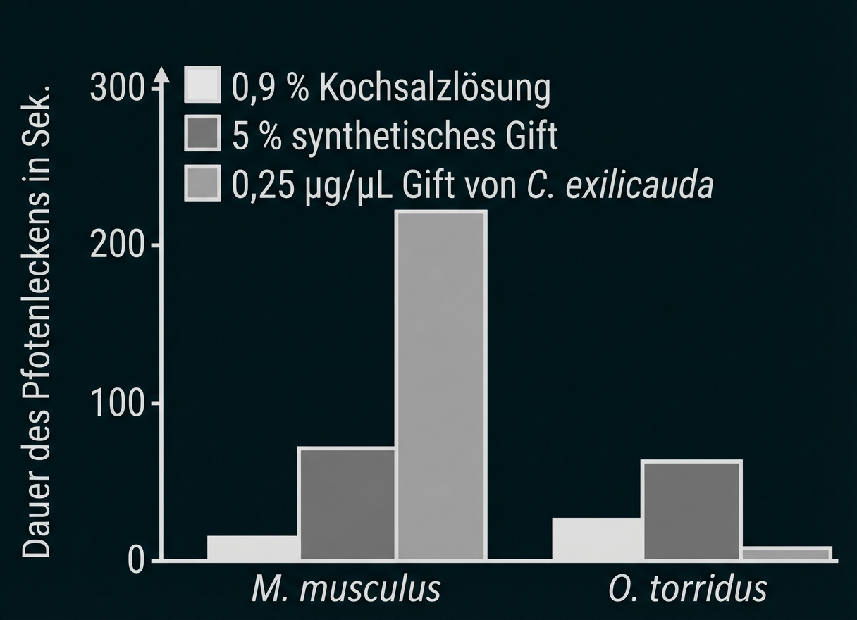 Balkendiagramm: Dauer des Pfotenleckens (s) bei M. musculus und O. torridus für Kochsalzlösung, synthetisches Gift und C. exilicauda-Gift.